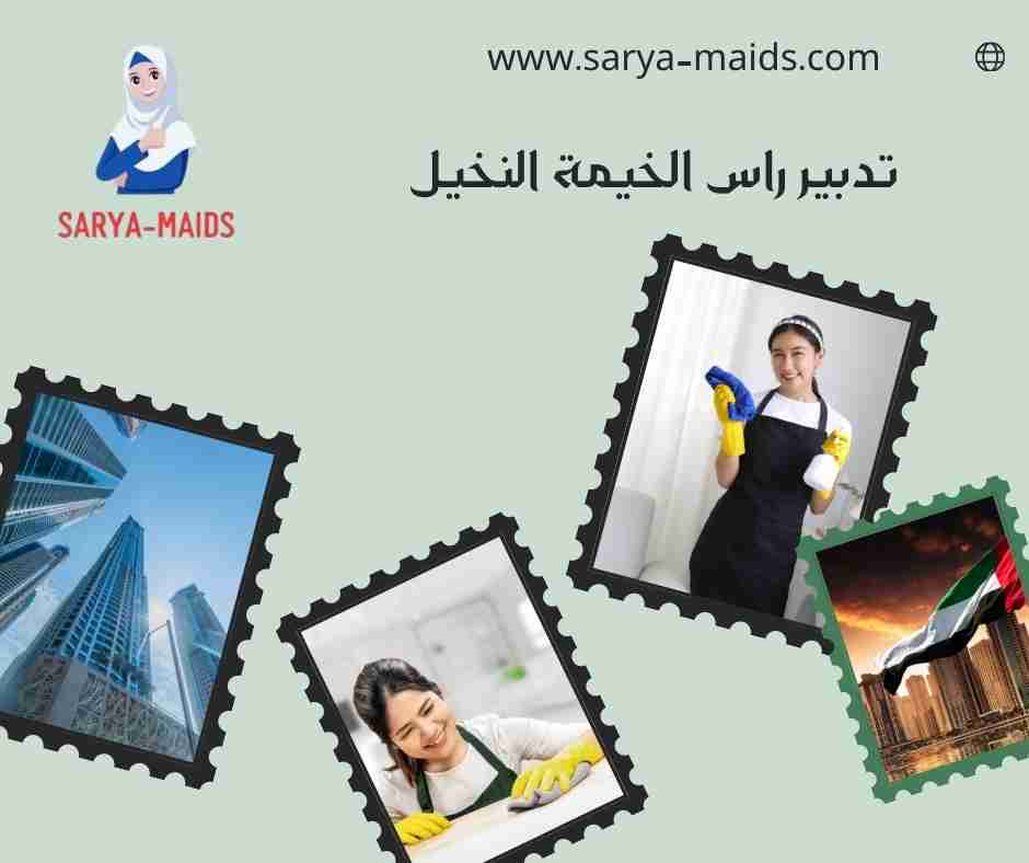 تدبير راس الخيمة النخيل