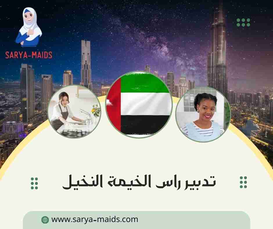 تدبير راس الخيمة النخيل