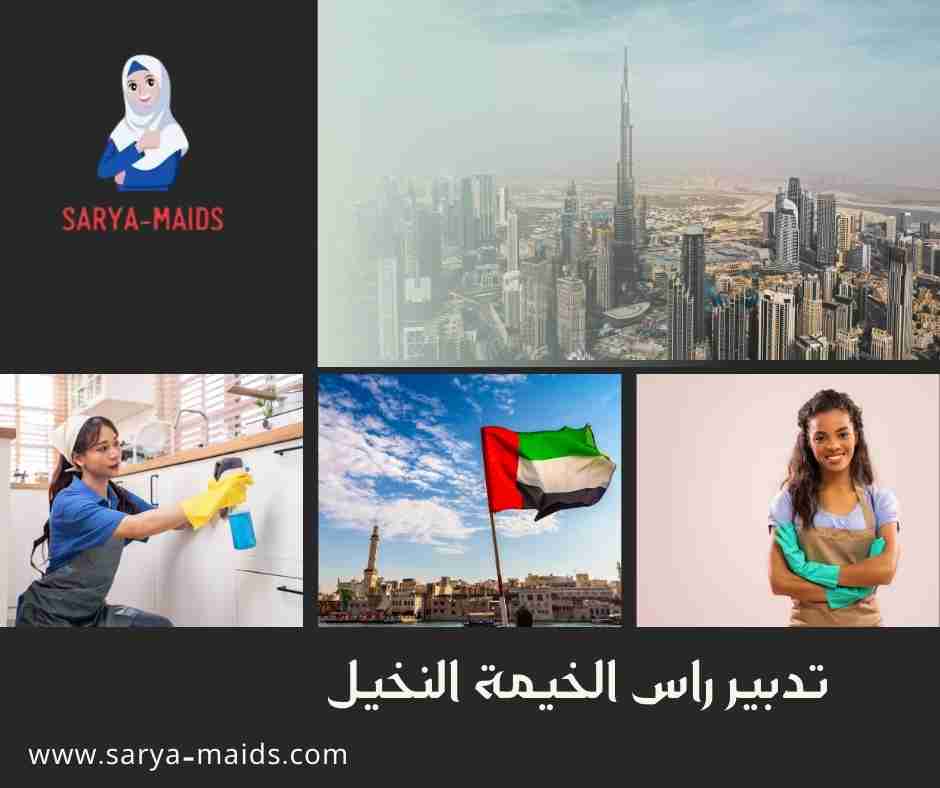 تدبير راس الخيمة النخيل